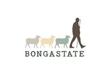 LOGO bonagaste -kl